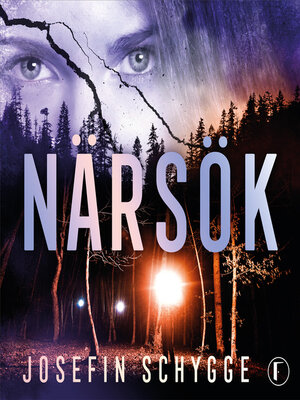 cover image of Närsök